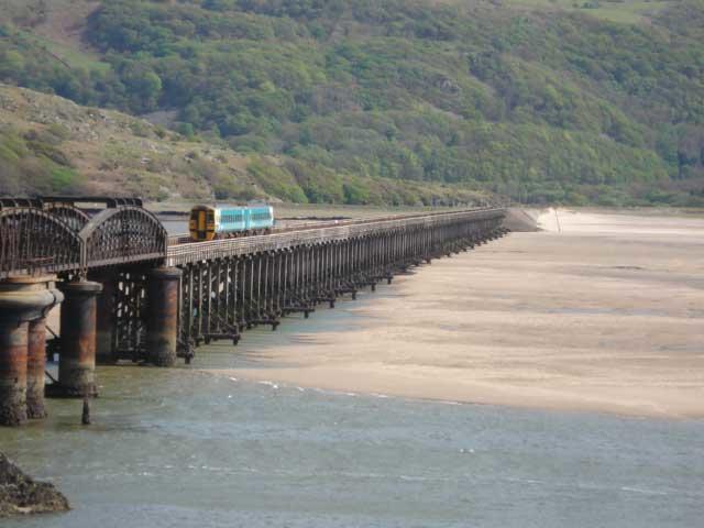 shipworm damage to a bridge