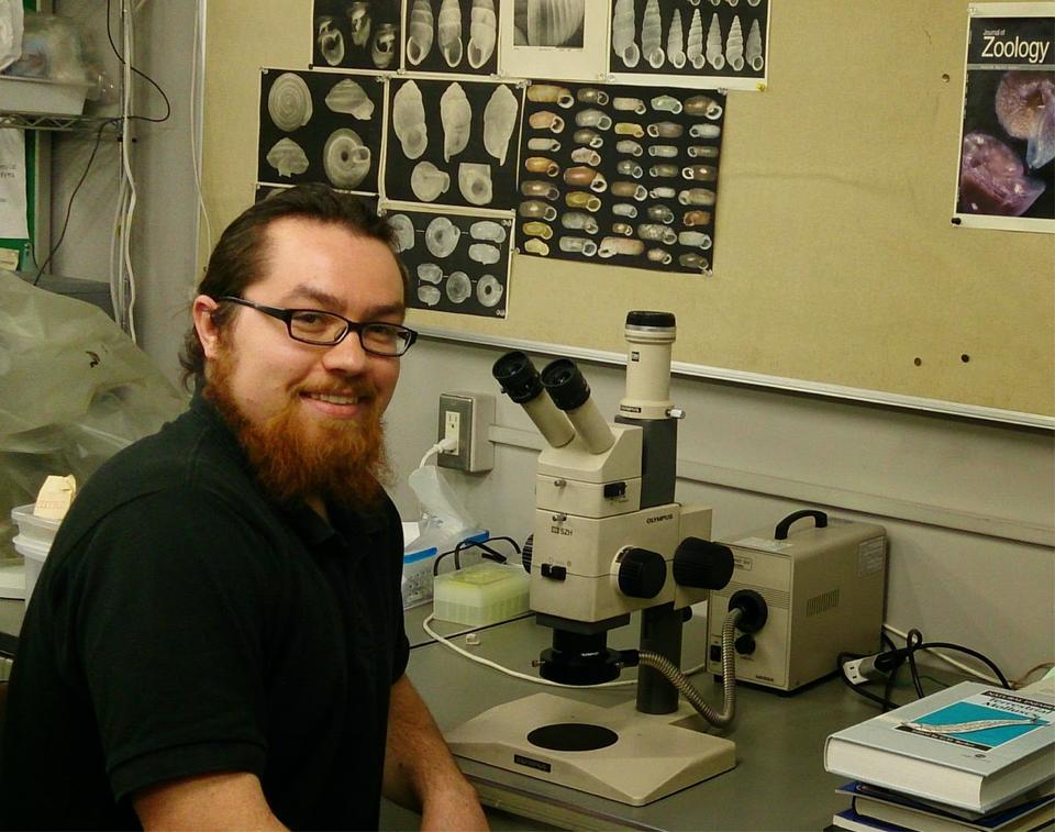 Dr. Barna Páll-Gergley