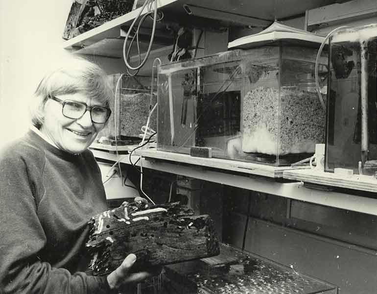 Ruth Turner Dixon at Harvard
